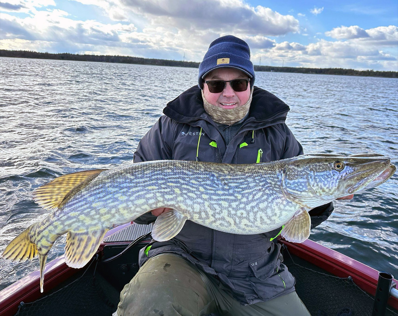 Westin W6 Bait Caster Stealth Gold - 50 Series High Speed